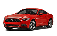 Mustang Mustang