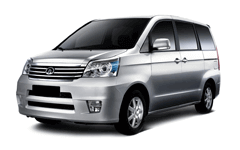 Cowry (V80) Cowry (V80)