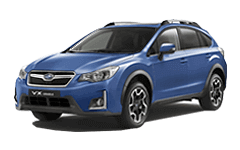 XV XV