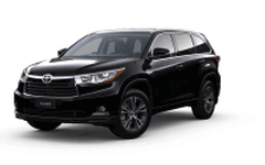Kluger Kluger