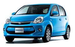 Passo Passo