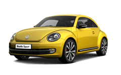 Beetle Beetle
